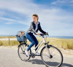 BASIL BUDDY Space Frame Grille Pour Panier -Vélo Accessoires Magasin Basil Buddy Space Frame 74067 3