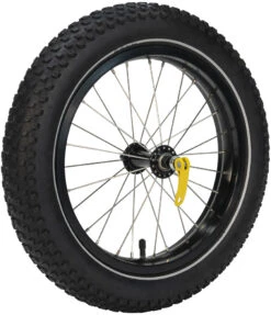 Burley Roue Coho 16+